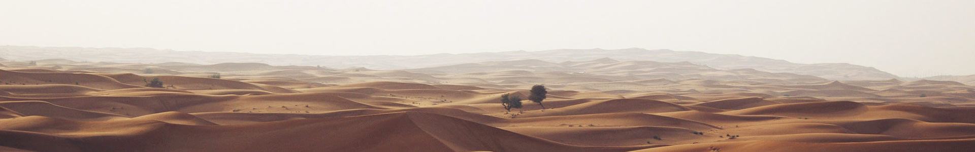 ɽнƻе޹˾